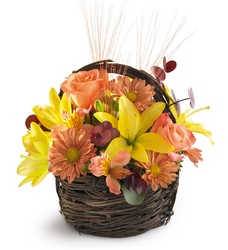 Sensational Splendor Basket from Olney's Flowers of Rome in Rome, NY